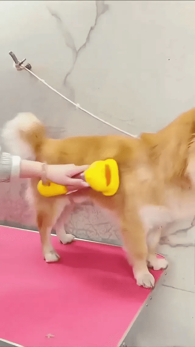 4-in-1 Pet Grooming & Cleaning Kit - Adorable Duck Design for Hassle-Free Pet Care